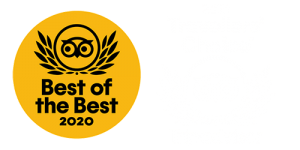 TA 2021 Logo